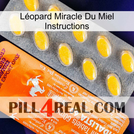Léopard Miracle Du Miel Instructions new05